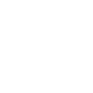 Warner Brothers Entertainment Logo