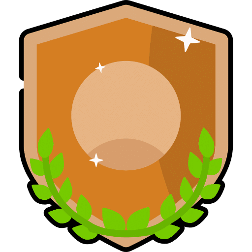 A bronze shield