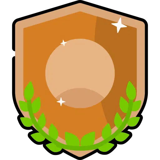 A bronze shield